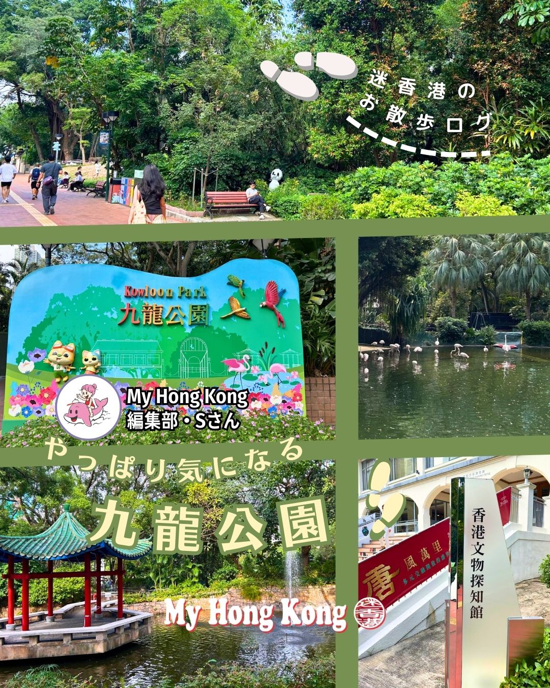 はじめまして！My Hong Kong編集部のSです🇭🇰
今回は尖沙咀の真ん中にあるオアシス「九龍公園」をおさんぽ🎵
駅直結でアクセス抜群なのに、緑が広がる癒し空間✨
🦩 バードレイクでフラミンゴに癒される
🏯 中国庭園で静かなひととき
🏊 公営プール＆スポーツセンターでアクティブに
🏛 香港文物探知館で文化に触れる
朝は太極拳、昼はピクニック、夜は静かな散策…
観光＋リフレッシュを叶える九龍公園、ぜひ訪れてみてください🌿

https://my-hkg.com/osanpo-log-3-kowloon-park-tsim-sha-tsui/

#香港おさんぽ #九龍公園 #尖沙咀 #香港旅行 #MyHongKong #街中オアシス