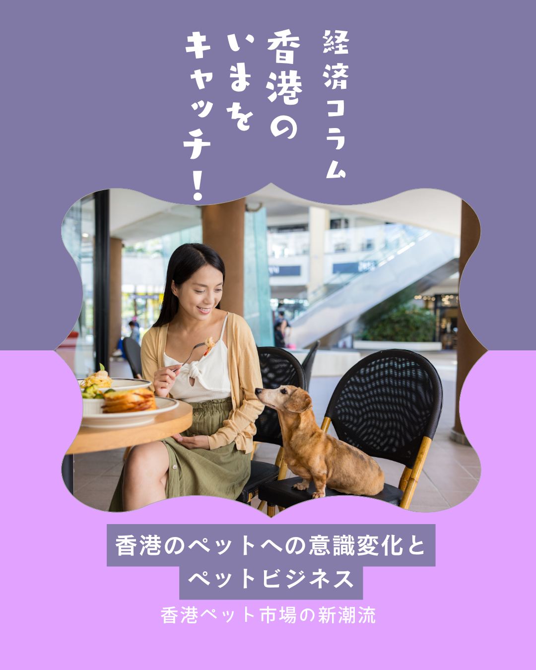 香港で約30年ぶりの規制緩和🐕2026年7月9日から犬同伴で屋内飲食が可能に――ペットビジネスの新潮流!!
🐾 犬同伴飲食店解禁:追加ライセンス制度で正式に屋内同伴が可能に
🏞️ ペット対応施設拡大:西九龍パークやK11 MUSEAなどでサービス充実
💖 癒し需要と家族化:単身者や高齢者にとって大切な家族へ
💸 ペット市場の成長:プレミアムフードや保険、月1万HKD以上支出する飼い主も
🐕🐈 人気犬猫種:柴犬やトイプードル、ラグドールなどが人気
👉 詳しくは My Hong Kong をチェック!
👉 Bioにもリンクがありますのでぜひご覧ください✨
#HongKong #香港 #MyHongKong #迷香港 #香港ライフ
