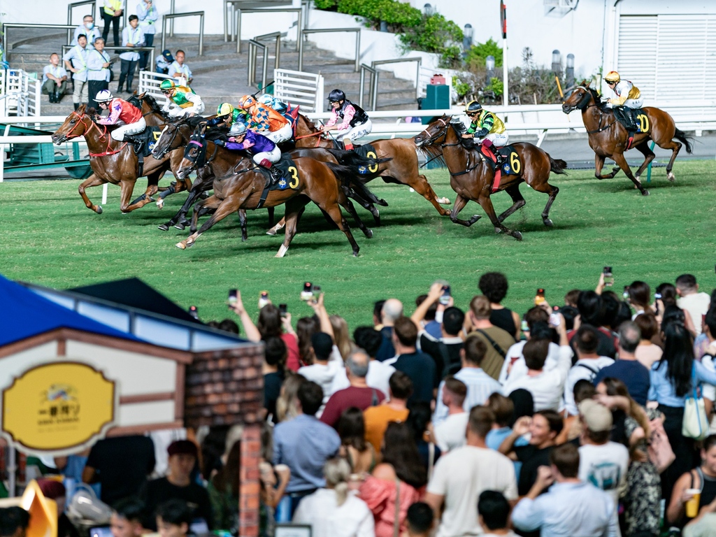 Happy Wednesday–Oktoberfest & Beerfest